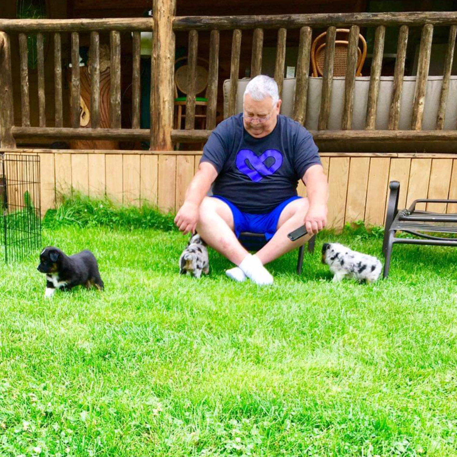 Dave Claus sitting in chair in grass with three puppies